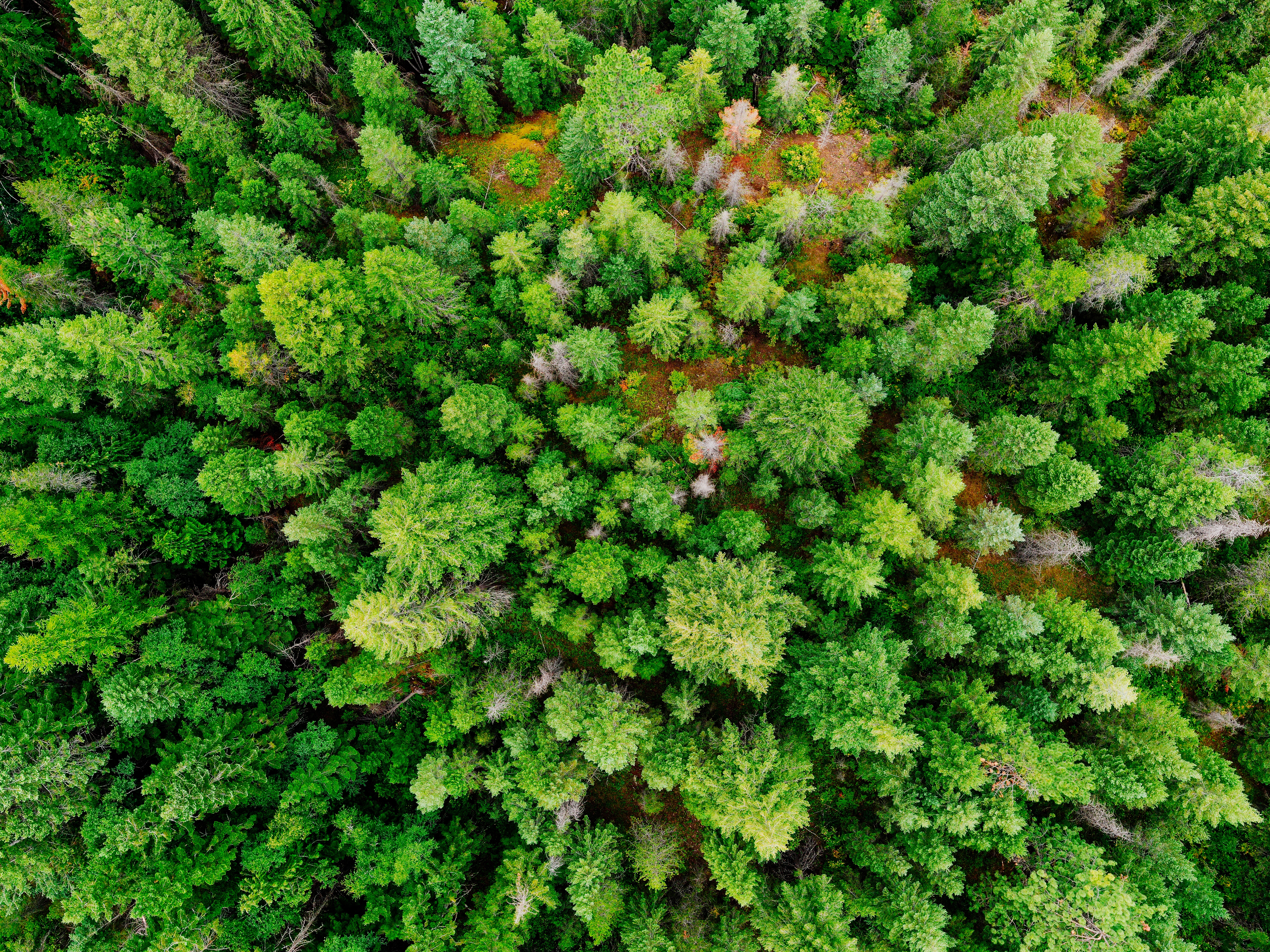 The Basics of Corporate Sustainability